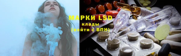 spice Богородск