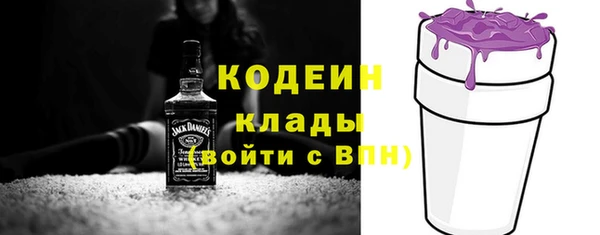соль ск Богданович