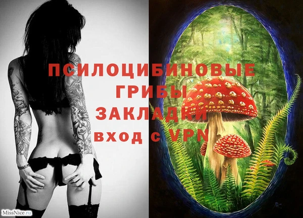 spice Богородск