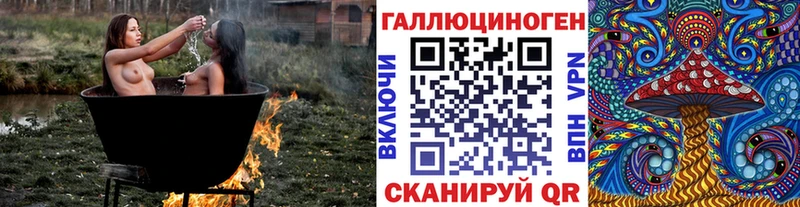 дарнет шоп  Ярцево  Псилоцибиновые грибы Magic Shrooms 